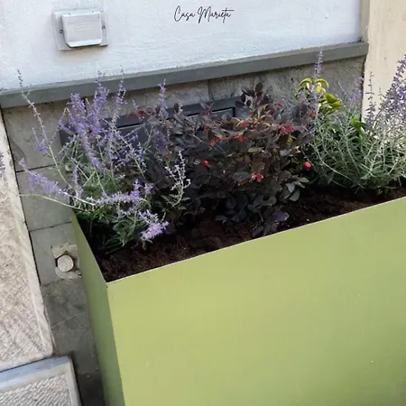 招待所 Marieta 3*